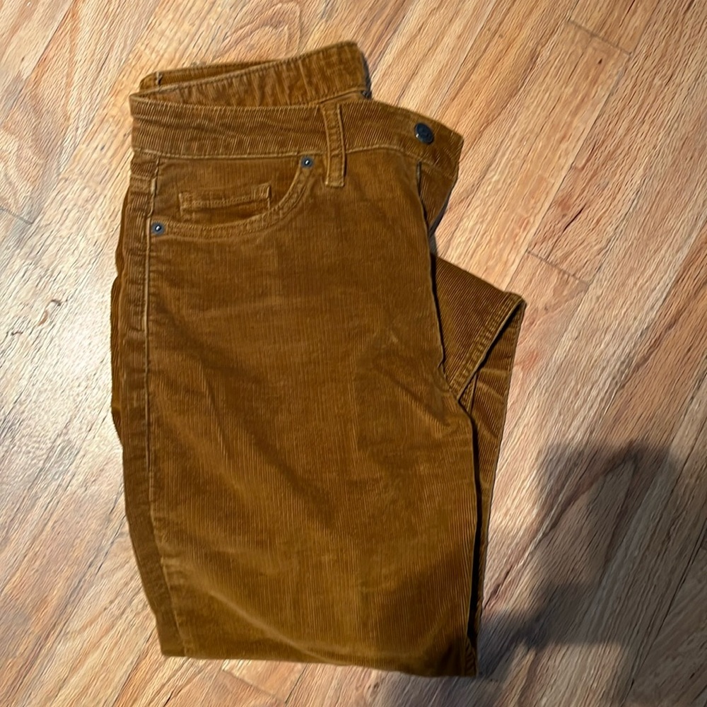 Patagonia corduroy pants